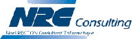 Consultant Informatique